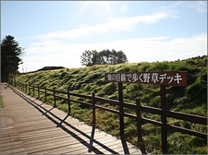 浅間山と軽井沢畑～高原畑景色のギャラリー～